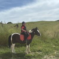 Pony