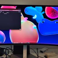 Monitor odyssey g95sc 49 pollici 240hz 16:10