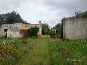 Terreno+casa da ristrutturare