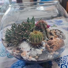 Terrarium Grande