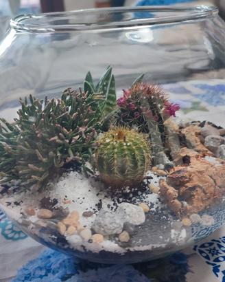 Terrarium Grande