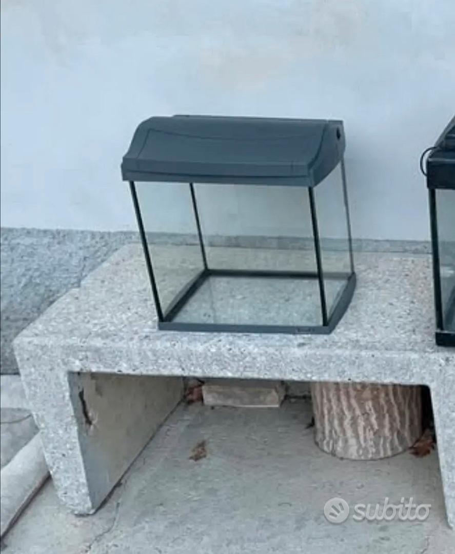 Acquario 30 litri