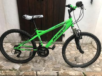 ATALA PASSO RUOTA 24