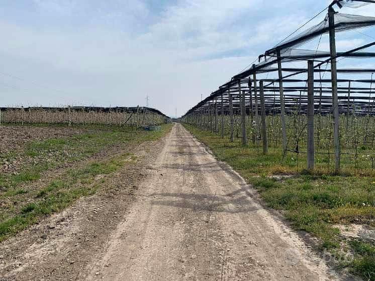 RGE 133/2022 Tribunale Verona - Lotto 6) - Vista 4