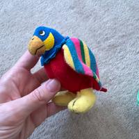 Parrots pappagallo uovo egg