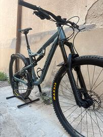 rockrider am 100