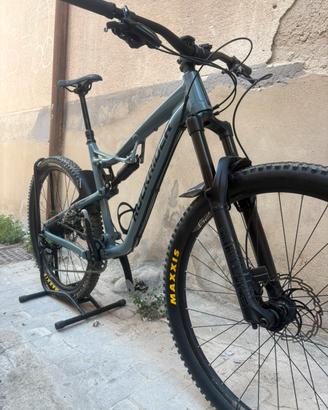 rockrider am 100