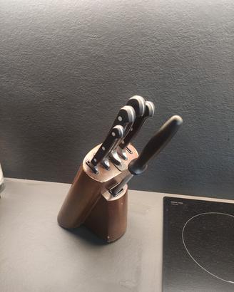 Ceppo 5 coltelli di qualità appena affilati 
