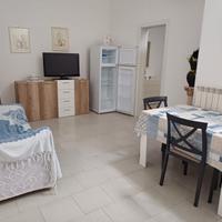 Trilocale ristrutturato