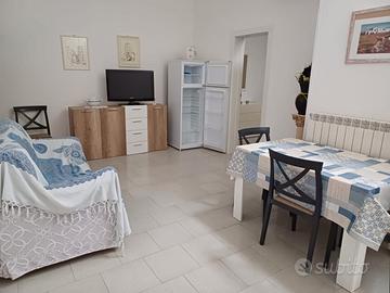 Trilocale ristrutturato