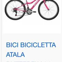 Mountain Bike Atala 24