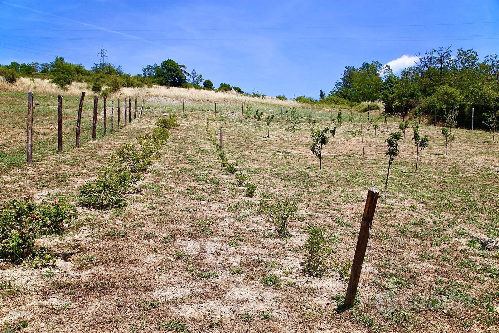 Terreno agricolo - Vista 3