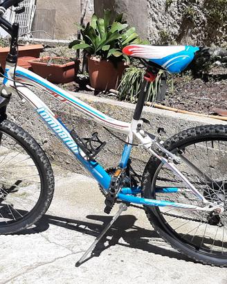 BICICLETTA MOUNTAIN BIKE BAMBINO