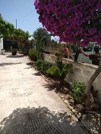 Villa a Scoglitti (Ragusa)