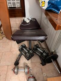 Pro form panca con manubri