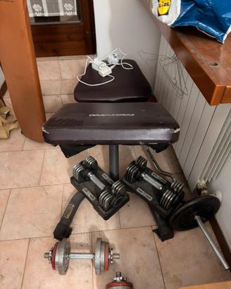 Pro form panca con manubri