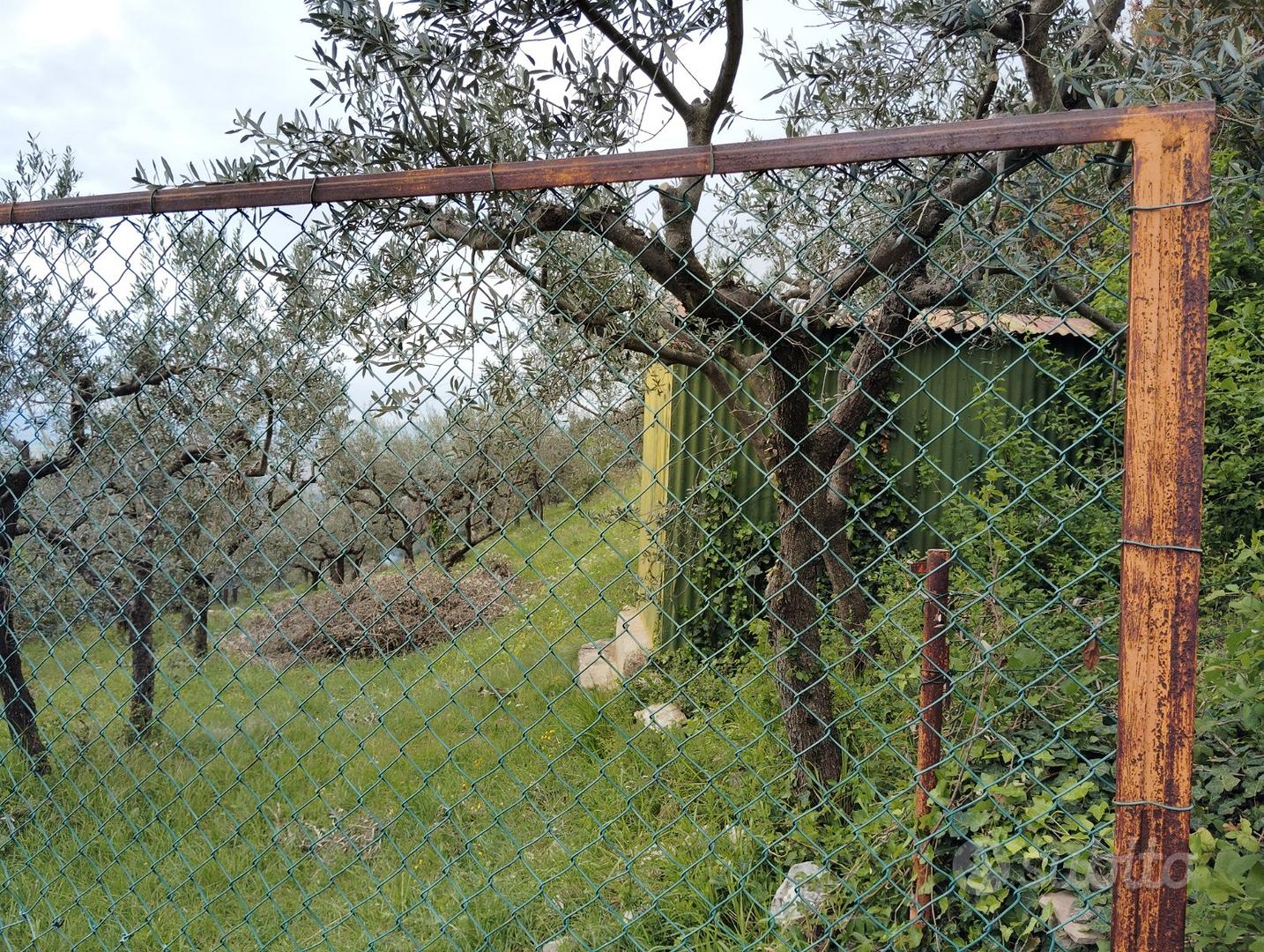 Terreno Spello - Collepino - Vista 5