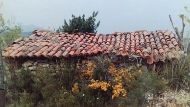 Terreno agricolo