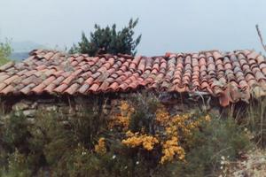 Terreno agricolo