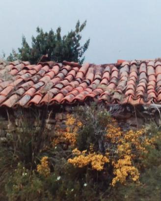 Terreno agricolo