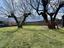 Immagine 30