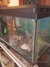 aquario 50