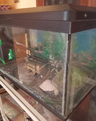 aquario 50
