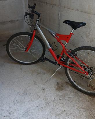 bicicletta 