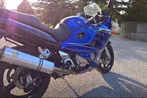 Suzuki Gsx-f modello Katana