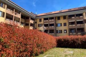 2 LOCALI A RHO