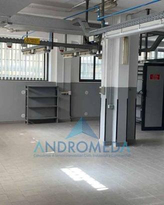 Immobile di 800 m² con più di 5 locali a Napoli