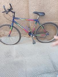 bici da corsa e Mountain bike 