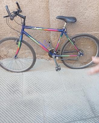 bici da corsa e Mountain bike 