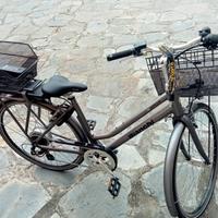 Bicicletta elettrica