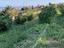 Immagine 9