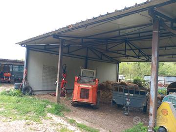 Capannone Agricolo