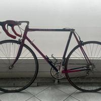 Tvt carbone rarissima