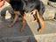 Immagine 4