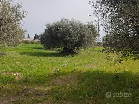 Terreno in Via Etiopia - Vista 2