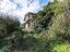 Immagine 9