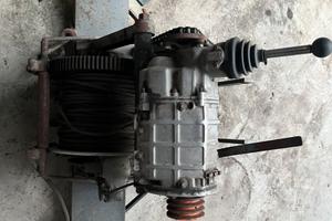 Verricello forestale