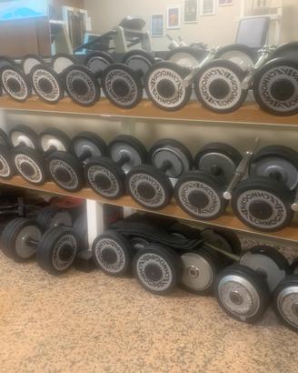 Manubri Tecnogym