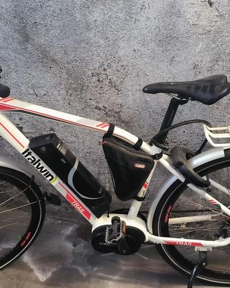 Bicicletta elettrica 
