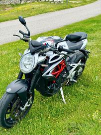 Mv agusta brutale 800