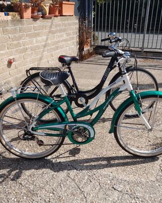 2 biciclette Raleigh / WEG