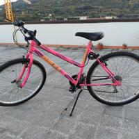 Bicicletta Mountain bike Omas