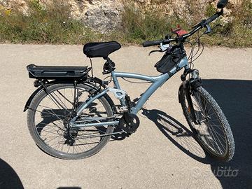 Elettrica biammortizzata