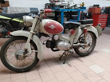 moto fbm