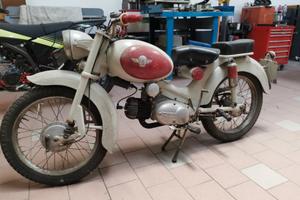 moto fbm