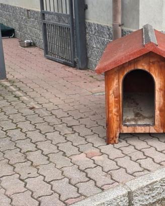 cuccia  in legno per cani taglia media 